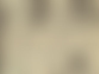 David Bowie: "Thrills" Article (1974)