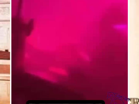Prince (January 4, 2003) Empty Room (Live) - Digital Single