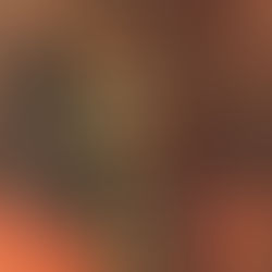 Remembering Freddie Mercury