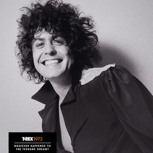 Whatever Happened To The Teenage Dream? (4CD): 2013