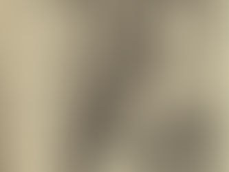 David Bowie: "Rocks Back with Bolan" Scrapbook Feature (1977)