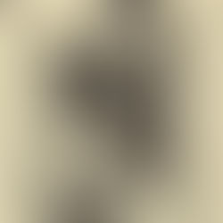 Reed Between the Lines Feature: 1972