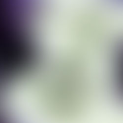 David Bowie: Little Wonder Single (1997)