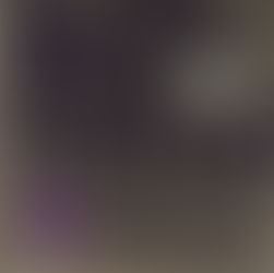 🟣 Rock ’N’ Roll Is Alive! (And It Lives In Minneapolis) – Single US: Apr. 2019