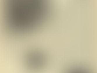 Suzi Quatro: Daytona Demon Single Review (1973)