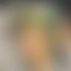 David Bowie: "Rare" Album (1983)