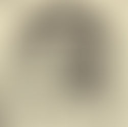 David Bowie: "Stage - The New Face" Album Review (1978)