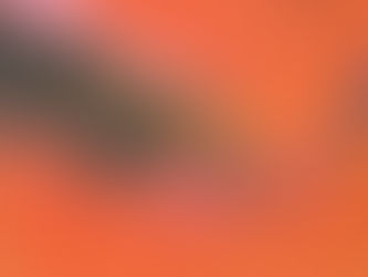 Alice Cooper: Killer Album US (1971)