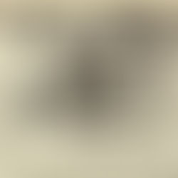 Wizzard: Christmas with the Wizzard Article (1973)