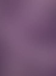 Prince (September 30, 2008) Indigo Nights - Live Album