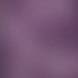 Prince (September 30, 2008) Indigo Nights - Live Album