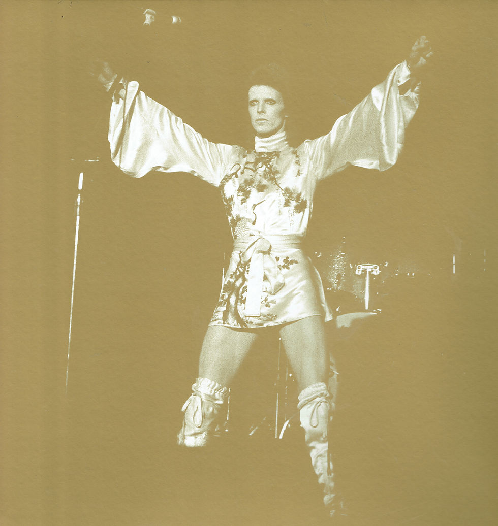 🔥 Ziggy Stardust – Master Page