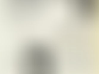 T.Rex: A lot of fuss about Marc Bolan Article (1972)