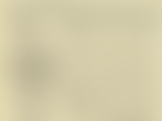 U.S. Stay to Set Up Revue Article: 1974