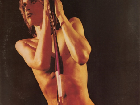 A Beginner’s Guide - Iggy Pop