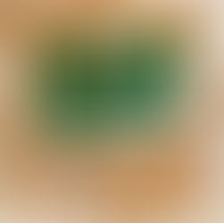 Lou Reed: "Berlin" Album (1981)