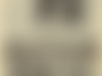 Best International Newcomer Article : 1973