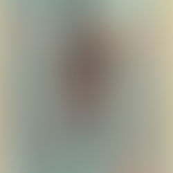 Marc Bolan: Will He Sweep the Poll? Cover Article (1977)