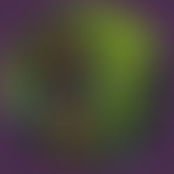 Jeepster Alternative Version Single: 2019