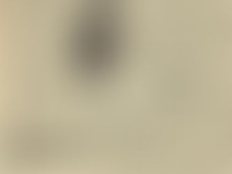 David Bowie: "Can Bowie Save New York?" Article (1972)