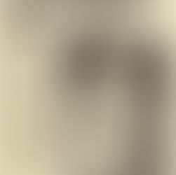 T.Rex: "The Dragon Bops Back" Review (1976)