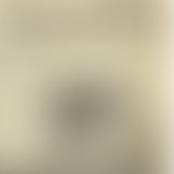 David Bowie: "The Handsome Gigolo" Article (1978)  