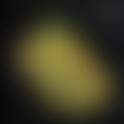 From Obscurity To Obscurity Article : 1974