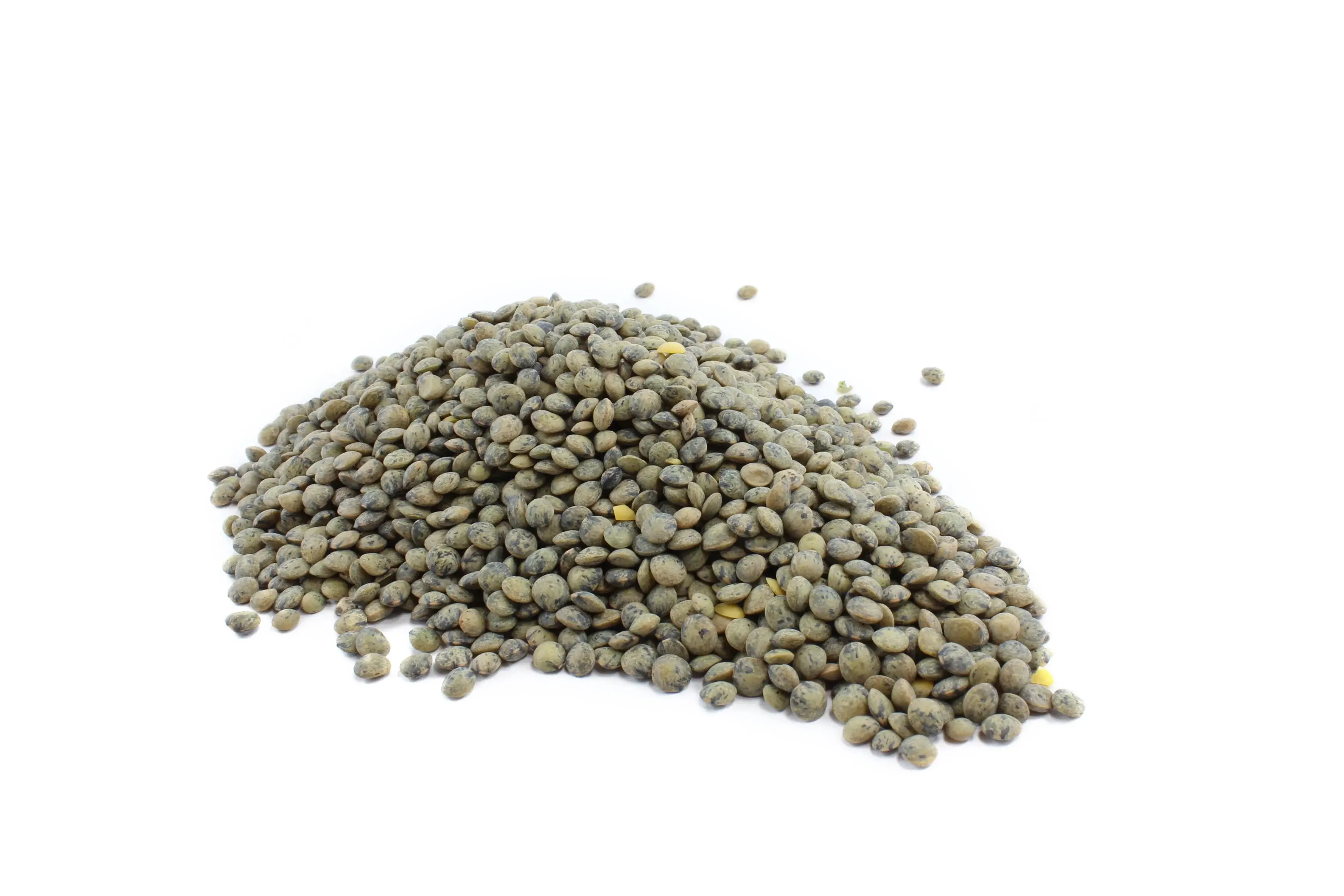 Organic French Type Lentils