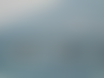 50,000 steps in 12 hours for the Whales & Dolphins!