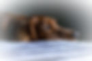 ryan-stone-FTzRYeD5lAs-unsplash_edited.jpg