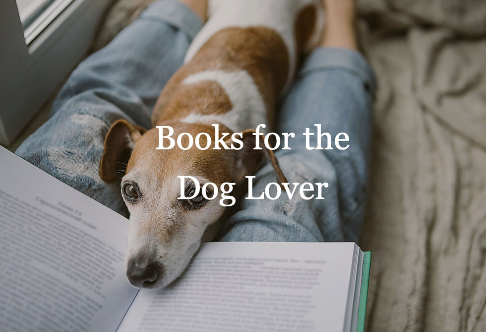 dog lover books header photo