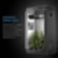 AC InfinityTent.webp