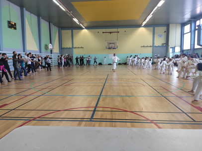 WhatsApp Image 2022-04-10 at 15.43.09.jpeg