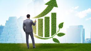 The SFDR and the challenges of financial services transparency
