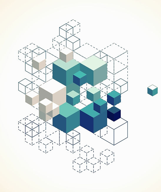 About RIBIA_edited.jpg