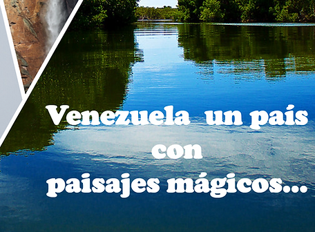 Captura de Pantalla 2022-05-15 a la(s) 7.31.49 p. m..png