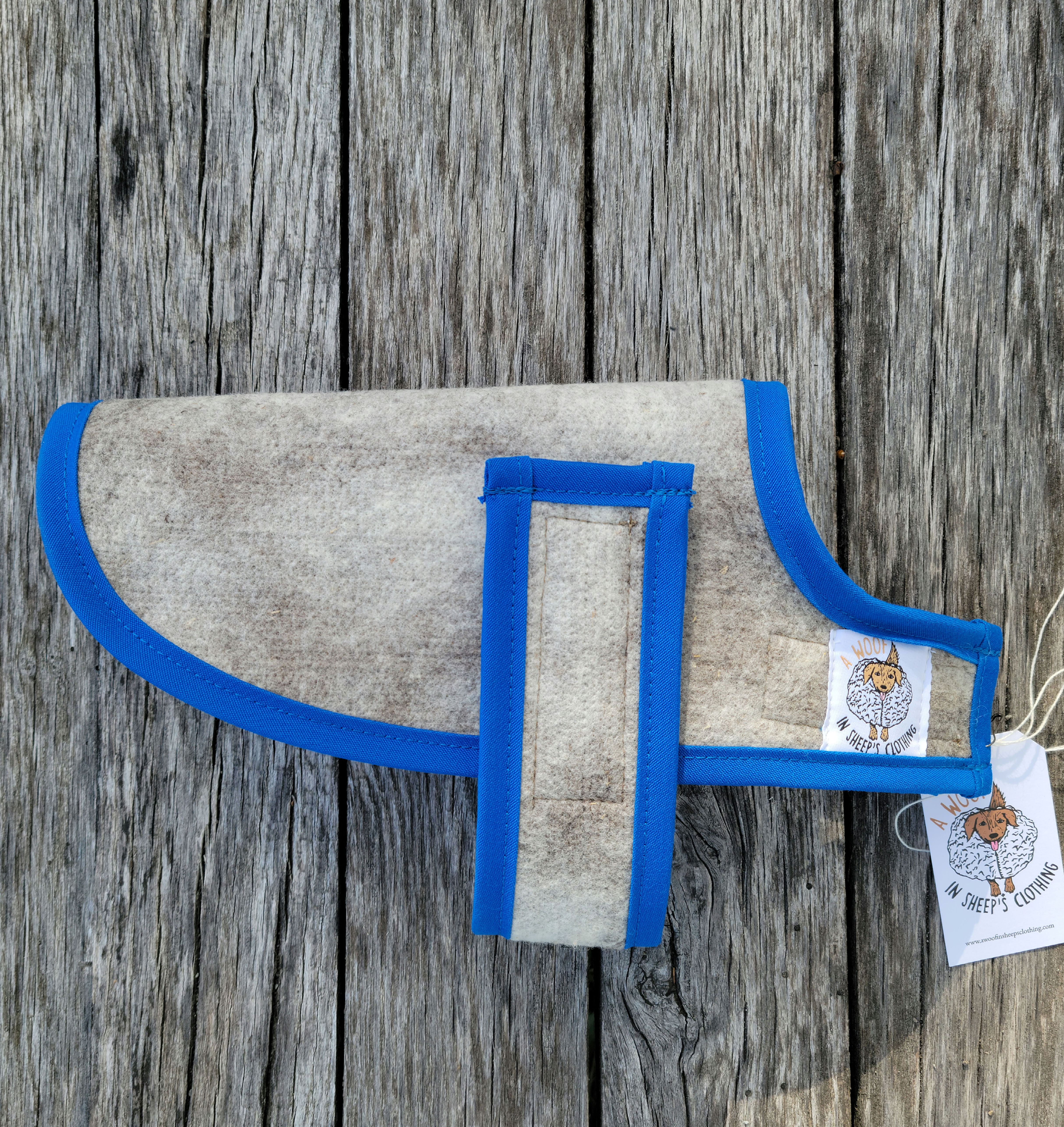 XX-Small Coat w/Pacific Blue Trim