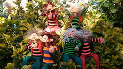 29027460_1769446456445176_3976463552644692934_n