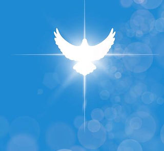 Dove1.jpg