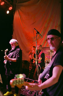 daltonica-11.jpg
