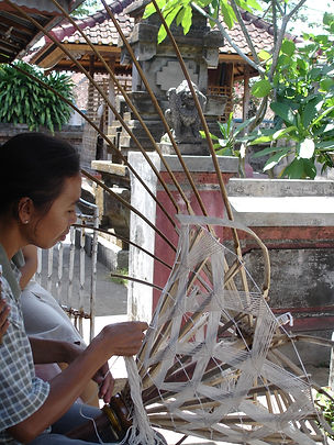 Paradise weaving.JPG