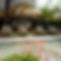 Indian-Garden-Cream-umbrella-pool-01.JPG