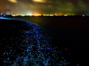 Mar iluminado en tonos azules en la orilla durante la noche.
