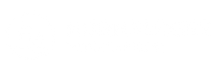 NÜRNBERGER Versicherung Logo weiß transparent
