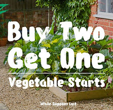 buy 2 get 1 free.jpg
