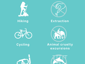 Eco-Friendly Adventures For The Summer 🌞