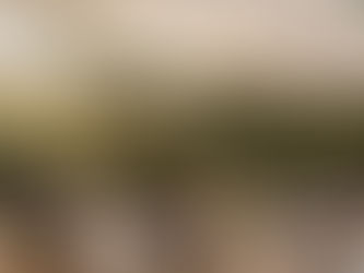 From Open Space to Unforgettable: How Our Outdoor Venue Creates Sophisticated Experiences From the Ground Up