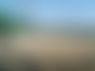 練習試合 in愛甲小学校