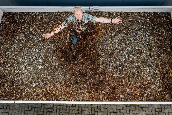 STINKENDE STALLEN? BIOBED MET HOUTSNIPPERS UIT ALMELO HELPT: SIMPEL, INNOVATIEF, BIOLOGISCH EN EINDE