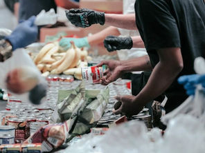 Policy Brief: Food Insecurity in the United States